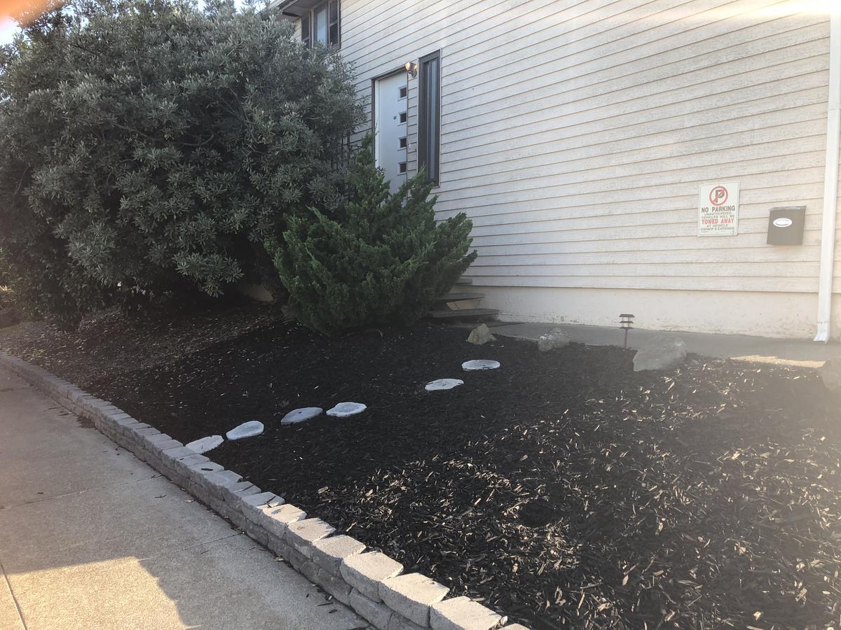 بيت شباب Sfo Crashpad دالي سيتي، سان ماتيو، كاليفورنيا المظهر الخارجي الصورة
